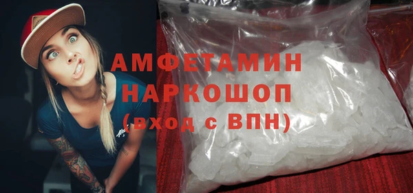 a pvp Бородино