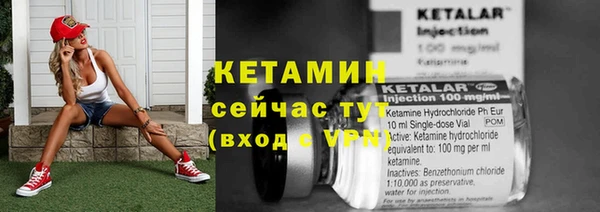 a pvp Бородино