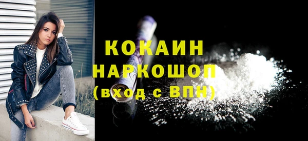 a pvp Бородино