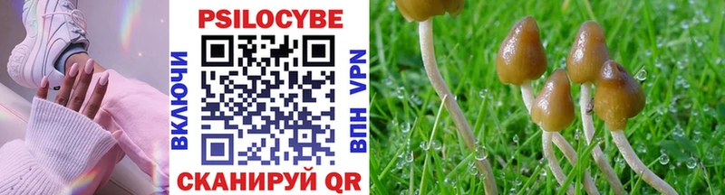 blacksprut онион  Клинцы  Псилоцибиновые грибы Psilocybe 